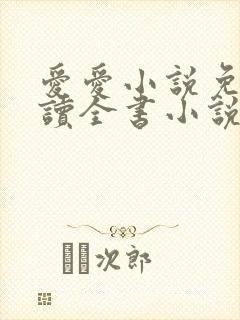 爱爱小说免费阅读全书小说乡村封面