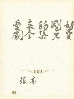 爱来的刚好电视剧全集免费观看完整版