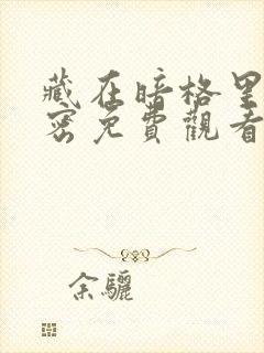 藏在暗格里的秘密免费观看