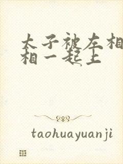 太子被左相和右相一起上