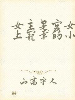 女主是宫女被皇上宠幸的小说