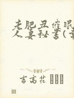 老肥丑催眠双性人妻秘书(常识改造