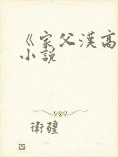 《家父汉高祖》小说