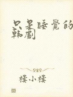 只是睡觉的关系韩剧封面