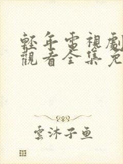 轻年电视剧在线观看全集免费高清版封面