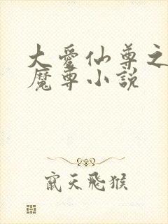 大爱仙尊之邪淫魔尊小说封面