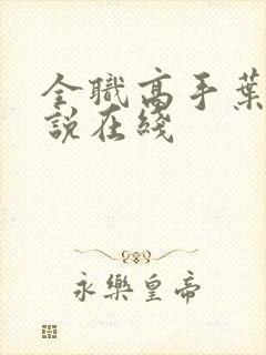 全职高手叶修小说在线封面