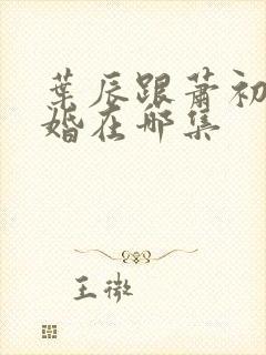 叶辰跟萧初然离婚在哪集