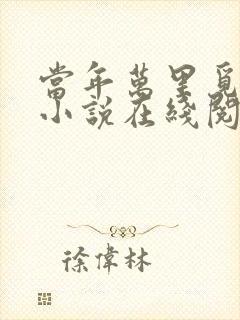 当年万里觅封侯小说在线阅读封面