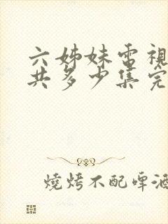 六姊妹电视剧一共多少集完结