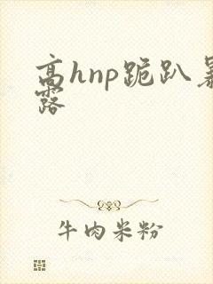 高hnp跪趴暴露封面
