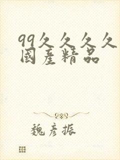 99久久久久久国产精品