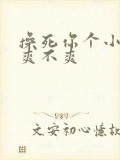 操死你个小骚货爽不爽