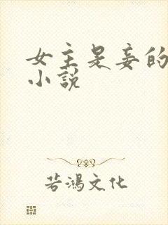 女主是妾的古言小说