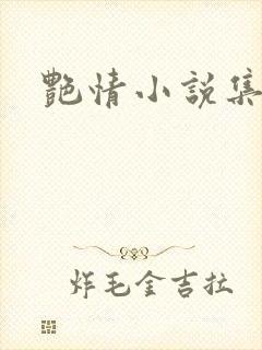 艳情小说集封面