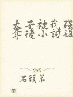 太子被我强取豪夺后小词姐姐