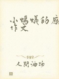 小蚂蚁的历险记作文