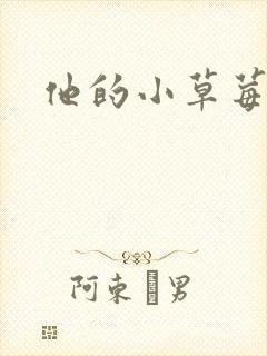 他的小草莓