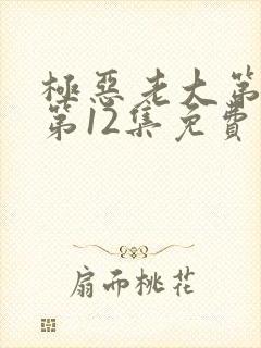 极恶老大第二季第12集免费观看