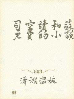 司空靖和苏月汐免费的小说笔趣阁