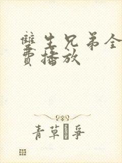 双生兄弟全集免费播放