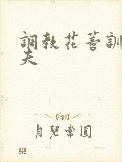 调教花蒂训诫从夫