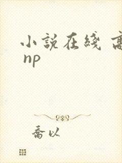 小说在线 高h np封面