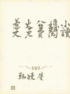 惹火公媳小说全文免费阅读