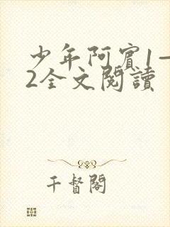 少年阿宾1—72全文阅读