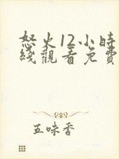 怒火12小时在线观看免费完整版封面