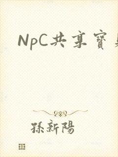 NpC共享宝贝封面