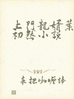 上门龙婿叶晨萧初然小说