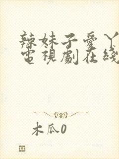 辣妹子爱丫爱丫电视剧在线播放封面