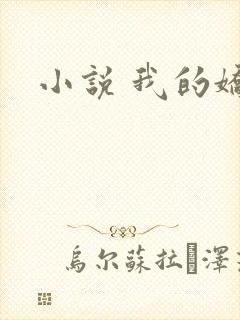 小说 我的娇妻