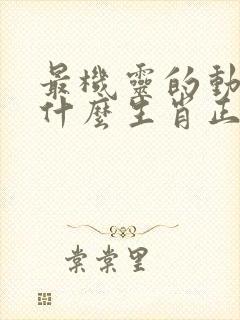 最机灵的动物是什么生肖正确答案