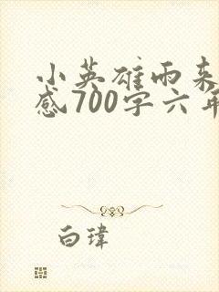 小英雄雨来读后感700字六年级