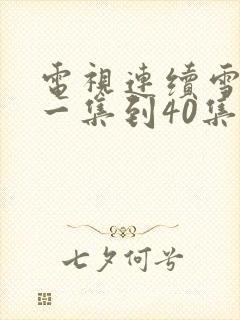 电视连续雪豹从一集到40集请播放