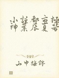 小说都市极品医神叶辰夏若雪无弹窗