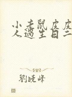 小老鼠皮皮一个人过生日二年级