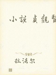 小说 贞观贤王封面