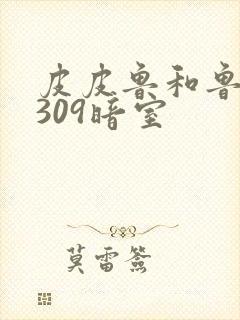 皮皮鲁和鲁西西309暗室