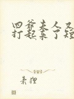 四爷夫人又和人打起来了短剧全集免费观看