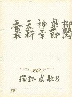 吞天神鼎柳无邪最新章节阅读