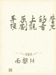 平原上的摩西电视剧观看免费完整版