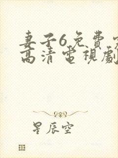 妻子6免费完整高清电视剧在线