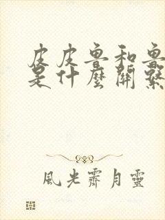 皮皮鲁和鲁西西是什么关系