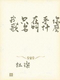 我只在乎你日语歌名叫什么