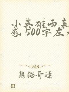 小英雄雨来读后感 500字左右封面