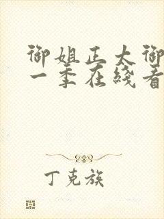 御姐正太御姐第一季在线看全集免费封面