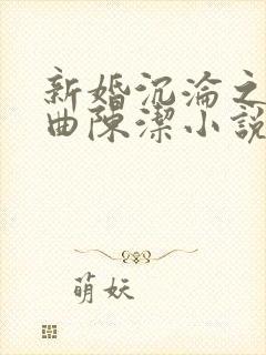 新婚沉沦之三部曲陈洁小说